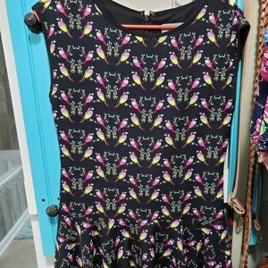 Beautiful Parrot Dress